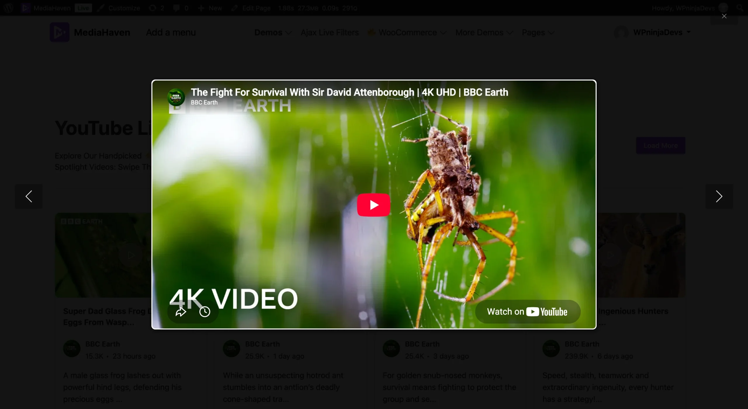 Lightbox/Popup Video Gallery